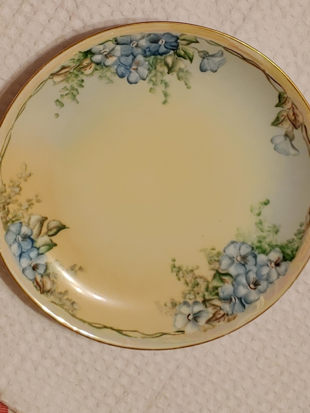 Pale Yellow Dinner Plate with Blue Floral Accents and Gold Rim